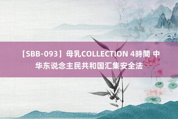 【SBB-093】母乳COLLECTION 4時間 中华东说念主民共和国汇集安全法