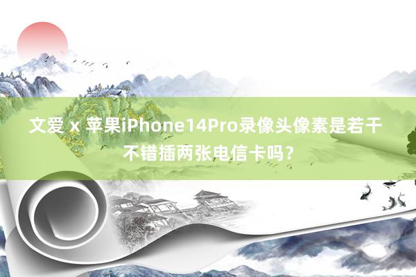 文爱 x 苹果iPhone14Pro录像头像素是若干 不错插两张电信卡吗？