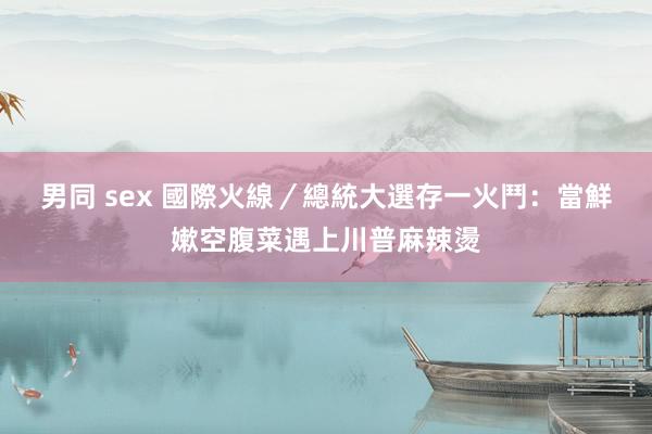 男同 sex 國際火線／總統大選存一火鬥：當鮮嫰空腹菜遇上川普麻辣燙