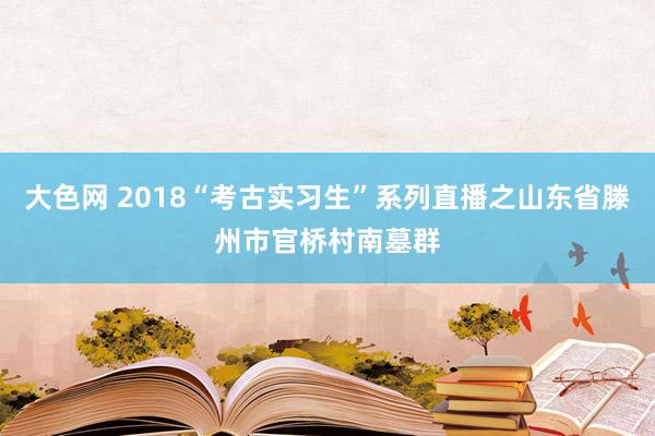 大色网 2018“考古实习生”系列直播之山东省滕州市官桥村南墓群